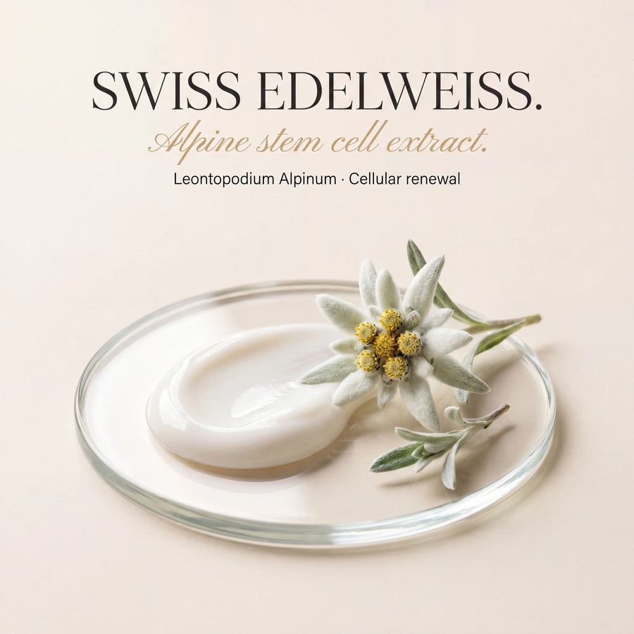Swiss edelweiss flower on a glass plate with cream, against a beige background.